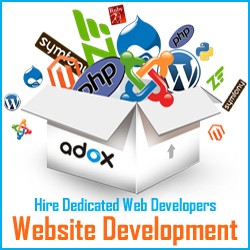 Web Developer India Web Developer India